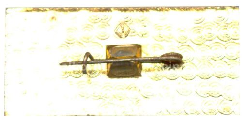 Значок ПО Свема