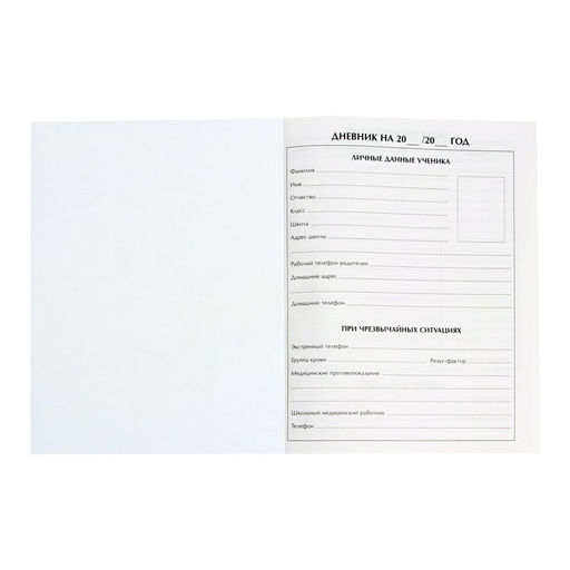 Дневник школьный для 1-11 классов, «Девочка со скейтом», твёрдая обложка 7БЦ, глянцевая ламинация, 40 листов