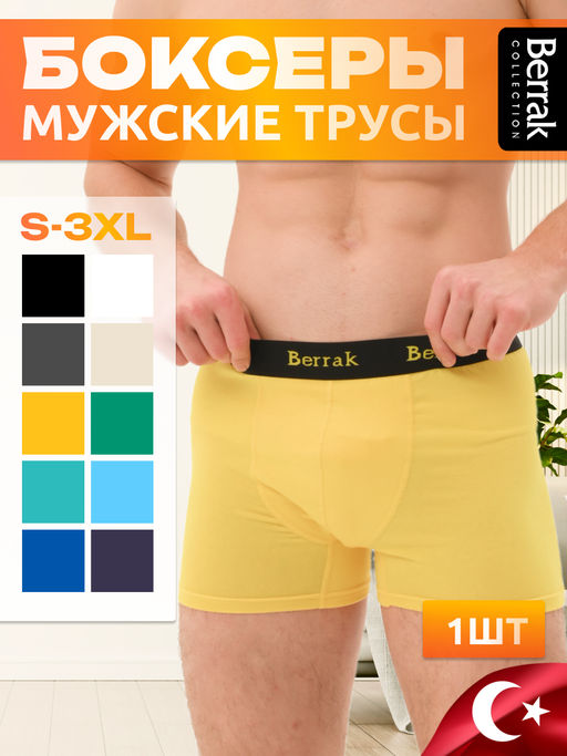 Мужские трусы Berrak 4476  фото 12