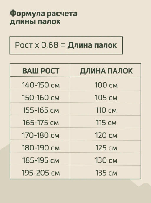 Палки для скандинавской ходьбы BERGER Travel Forest BTF25NP1-01, 106 см, цельные, красный фото 17