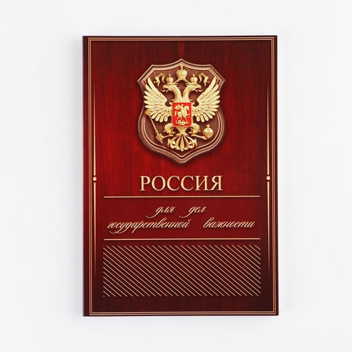 Ежедневник А5, 80 листов, недатированный, в мягкой обложке «Россия»