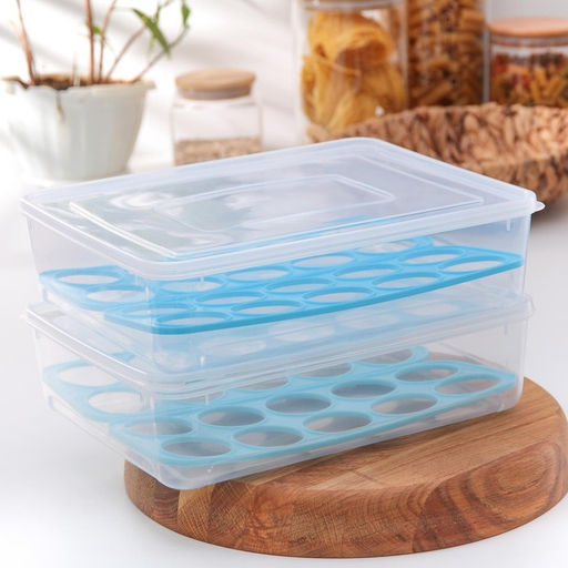 Контейнер для хранения яиц Доляна, 20 ячеек, 27.5×22×7 см, пластик, МИКС