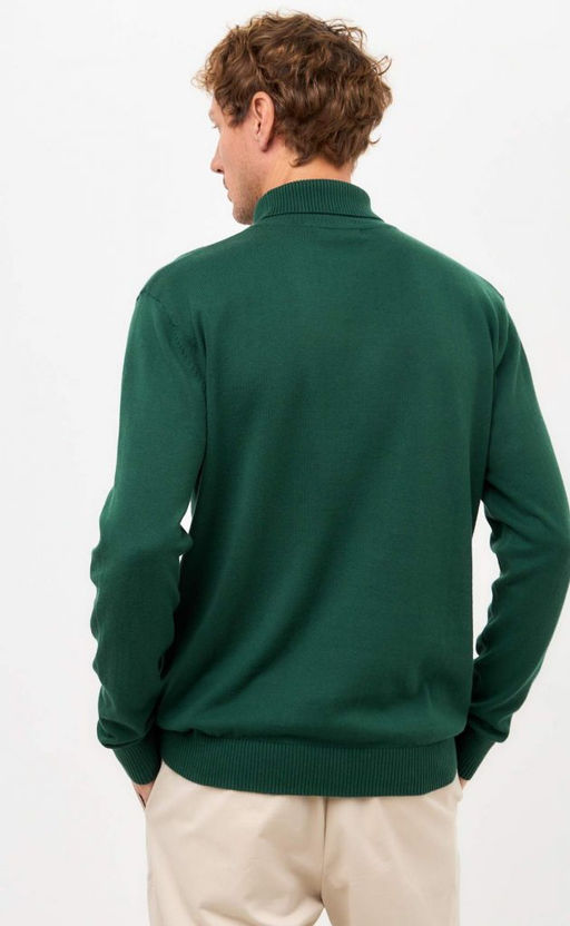 Водолазка F421-1532 d.green