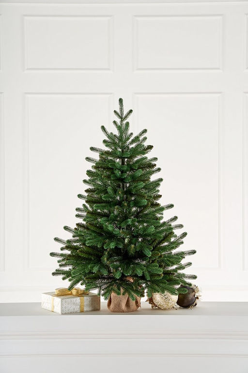 Ель (Max Christmas) "Европейская" 0.9м (ЕЕС 09) Россия