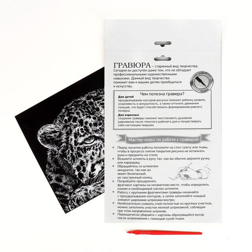 Гравюра Гепард с металлическим эффектом серебро А4 - Школа талантов фото 3