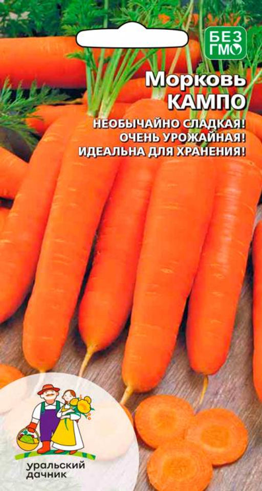 Морковь КАМПО Ровная и длинная, великолепно хранится! Необычайно сладкая! Крайне урожайная!