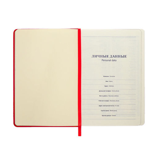 Ежедневник недатированный A5, 140л, клетка, кожзам, на резинке, черный срез, Красный