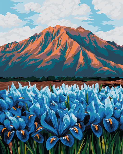 ФРЕЯ PNB/PL-346 Набор для раскрашивания по номерам 50 х 40 см Ирисы в горах