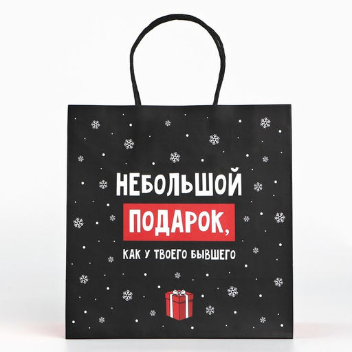 Пакет подарочный новогодний «Небольшой подарок», 22 х 22 х 11 см