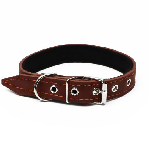 Ошейник кожаный на синтепоне, 56 х 2.5 см, ОШ 35-45 см, коричневый - Пижон фото 2