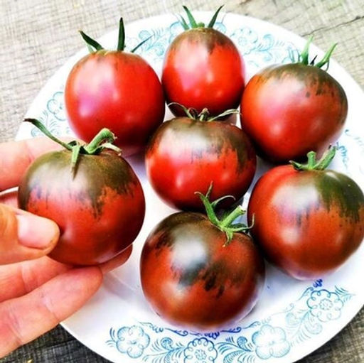 Помидоры Цыган - Дом помидоров фото 2