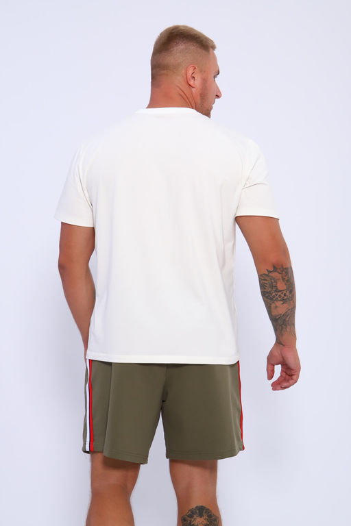 Шорты мужские 35336