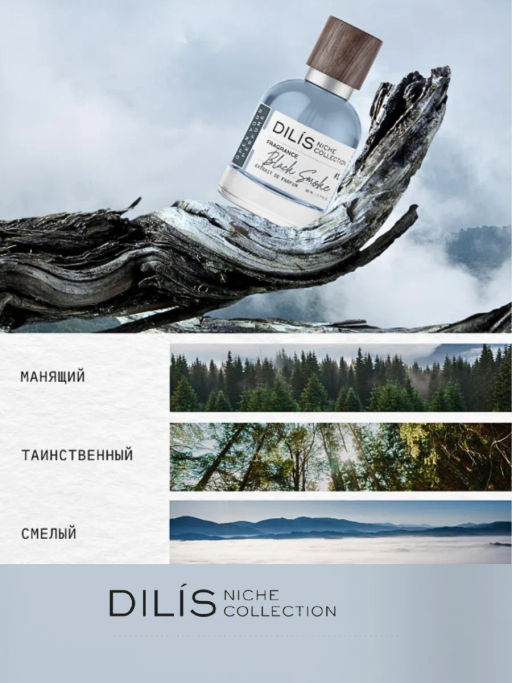 Dilis Black Smoke Духи экстра Dilis Niche Collection для мужчин 50 мл  фото 2