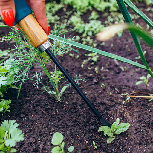Корнеудалитель, длина 30 см, деревянная ручка с поролоном, Greengo  фото 6