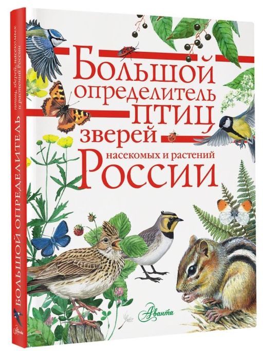 Большой определитель птиц, зверей, насекомых и растений России  фото 2