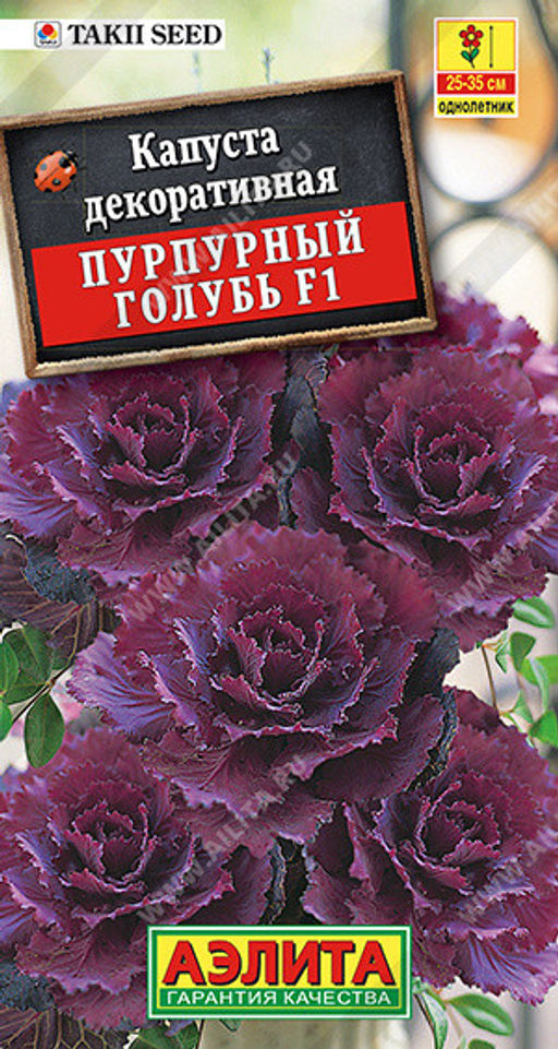 1485A Капуста декоративная Пурпурный голубь F1 7шт