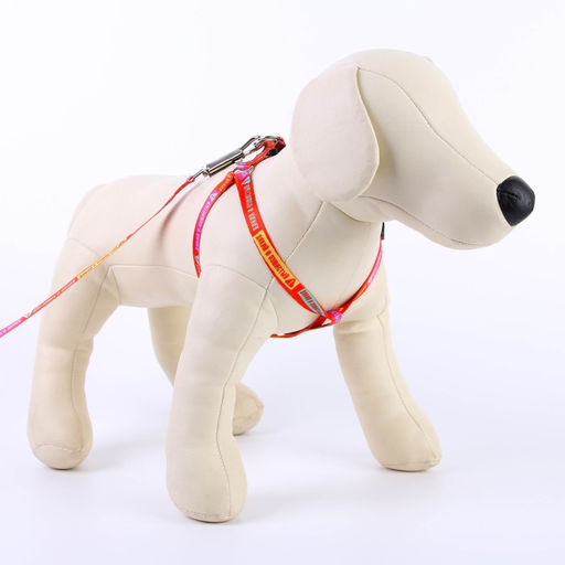 Комплект Дикий и пушистый, шлейка 24-36 см, поводок 120х1 см - Пушистое счастье фото 4