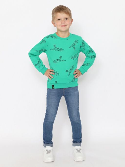 CRB wear/CWKB 63708-37-387 Джемпер для мальчика,зеленый/Ex.Cherubino  фото 3