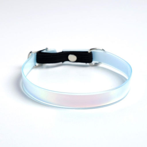 Ошейник для собак и кошек с фастексом Неон , 30 х 1 см - Пушистое счастье фото 3