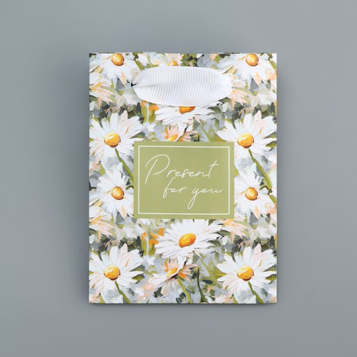 Цена за 4 шт. Пакет подарочный ламинированный, упаковка, Present, 9×12×6.5 см