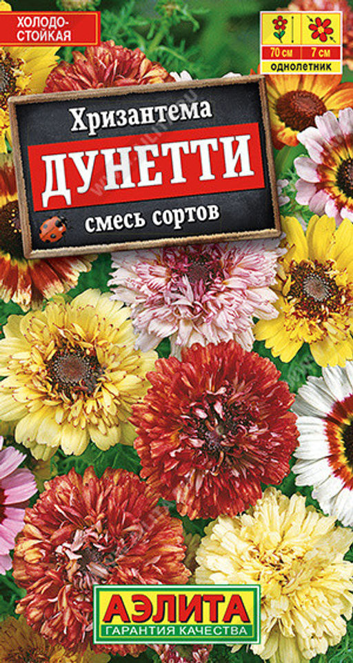 1851A Хризантема Дунетти, смесь сортов 0,3гр