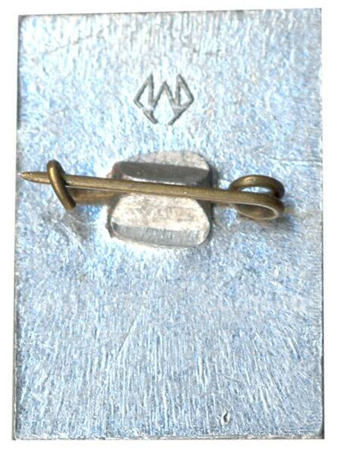 Значок Общество охраны памятников истории и культуры РСФСР