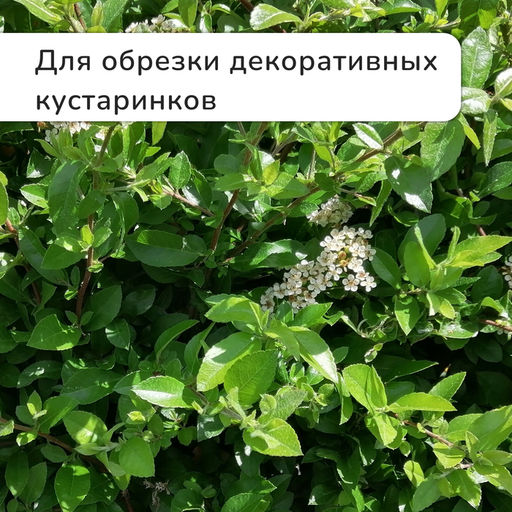 Секатор плоскостной, 7 (18 см), с пластиковыми ручками, Greengo  фото 9