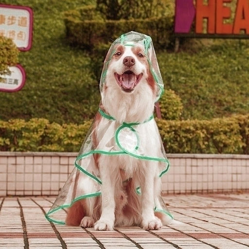 Дождевик для крупных пород собак "KOMFORT", прозрачный, р 6XL