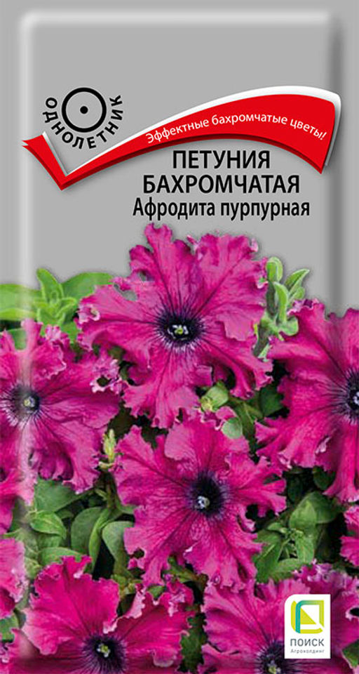 Петуния бахромчатая Афродита пурпурная (ЦВ) (1) 10шт - Поиск фото 2