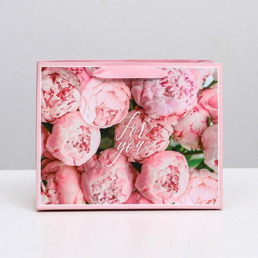 Цена за 2 шт. Пакет подарочный ламинированный, упаковка, «For you», MS 23×18×10 см