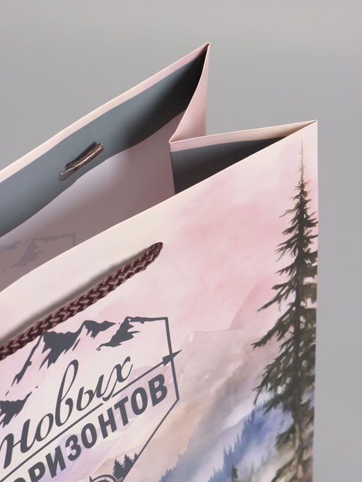 Пакет подарочный ламинированный «Северный характер», 26×12×32 см