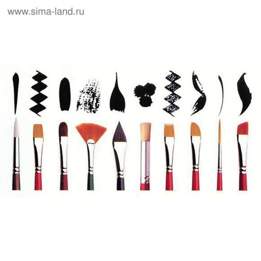 Набор кистей для рисования, нейлон, 5 штук, круглые, плоские, международный размер