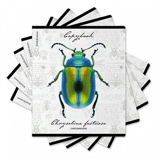 Цена за 5 шт. Тетрадь общая ученическая ErichKrause Жуки, 48 листов, клетка, мат. лам.+выборочный УФ-лак+тиснение фольгой+конгрев, доп.лист_MIX-PACK