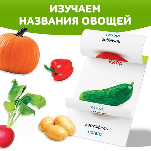 Книга по методике Г. Домана Овощи, на казахском языке - Буква-Ленд фото 3