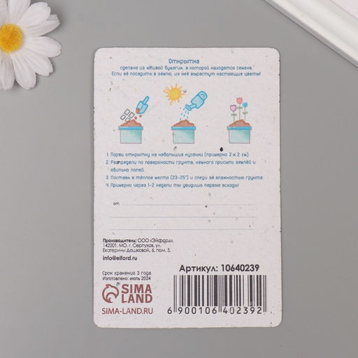 Цена за 2 шт. Открытка для выращивания «Арт Узор. Вырасти сам. Мишка» с семенами, 10×15 см