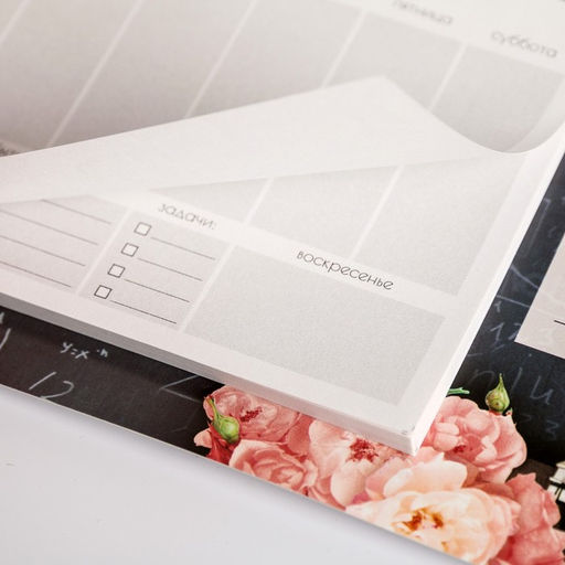 Планер на магнитах с отрывными листами «Лучший учитель», 50 л., 15×20 см, размер части для заполнения 10×13 см