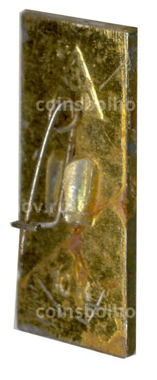 Значок Муром