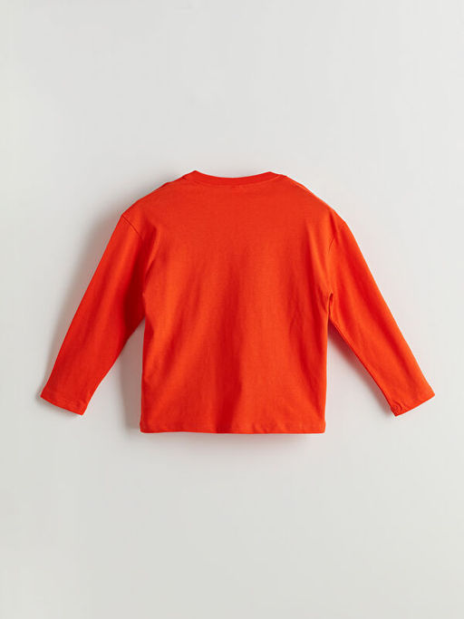 Aslan Bask?l? Erkek ?ocuk Ti??rt ve Pantolon 2li