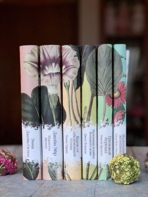 Маленькие женщины (книга #6)