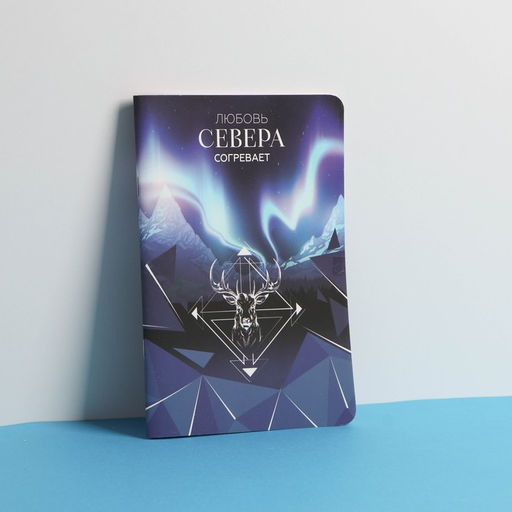 Блокнот софт-тач А5, 48 л Север