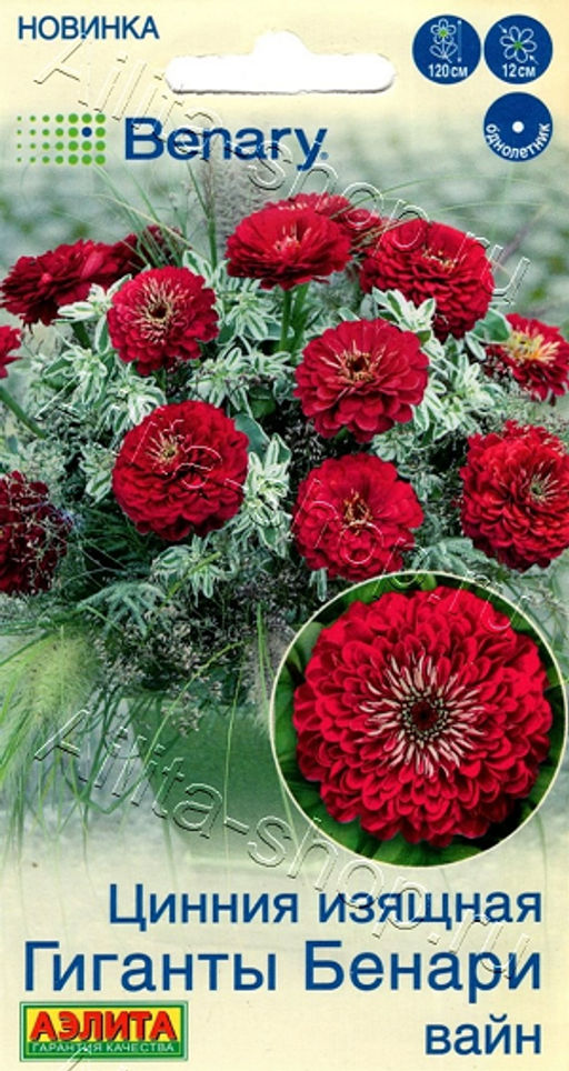 2030A Цинния Гиганты Бенари вайн 7шт
