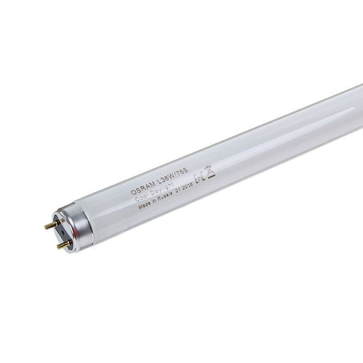 Цена за 2 шт. Лампа люминесцентная Osram L 36W/765, G13, 36 Вт, 6500 К, 1200 мм