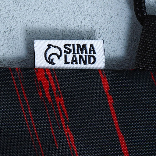 Сумка для обуви Кеды, 2 секции, 41х31 см - Artfox study фото 10