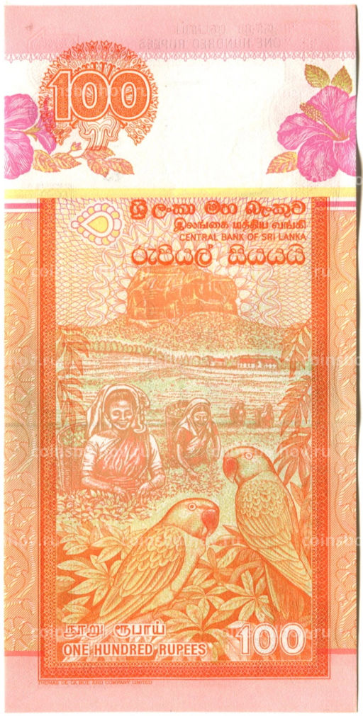 Банкнота 100 рупий 2005 года Шри-Ланка