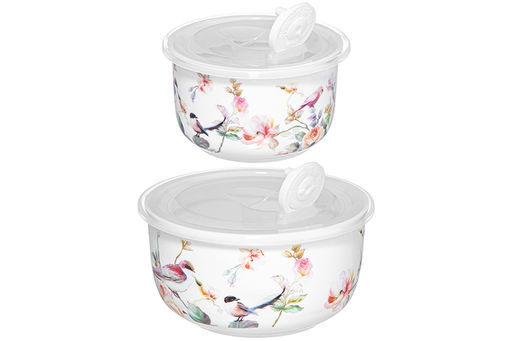 Набор 2 салатников 500 мл 13,5*13,5*7 см + 300 мл 10,5*10,5*6,5 см Певчие птички с крышк. NEW BONE - Elan gallery фото 7