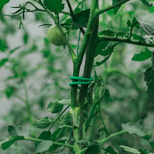 Проволока подвязочная, 10 м, d=3 мм, мягкая, Greengo