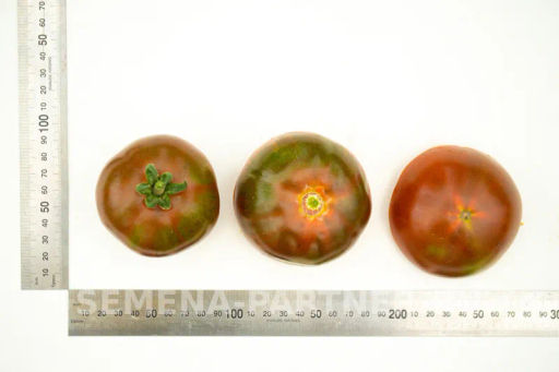 Томат Ниагус - Партнер фото 7