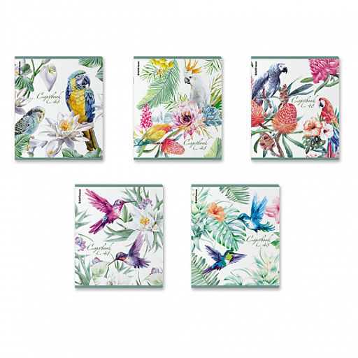 Цена за 5 шт. Тетрадь общая ученическая ErichKrause Тропические птицы, 48 листов, клетка, мат.лам.+выб. УФ-лак+тиснение фольгой+конгрев, доп.лист_MIX-PACK  фото 2