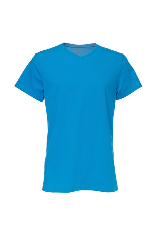 Футболка мужская короткий рукав GREG TS524V (голубой)  фото 2