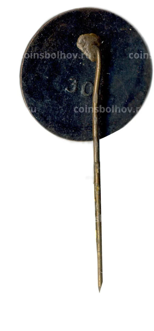 Значок Рига